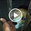 home-pic