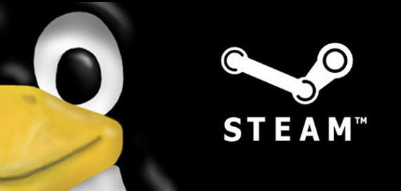 , Η Valve αναζητεί έμπειρους χρήστες για το Linux Steam Client Beta