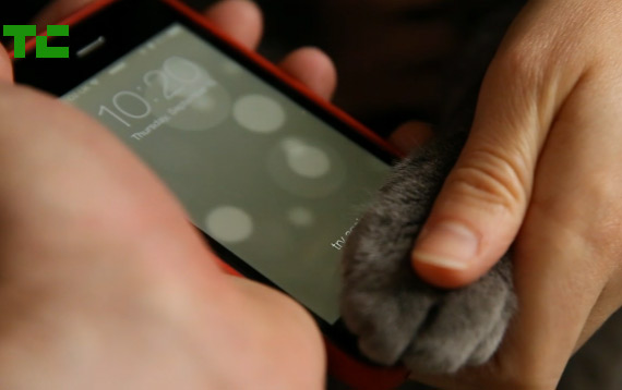 Γάτα Touch ID iPhone 5S, Γάτα ξεκλειδώνει το iPhone 5S και το Touch ID με την πατούσα της