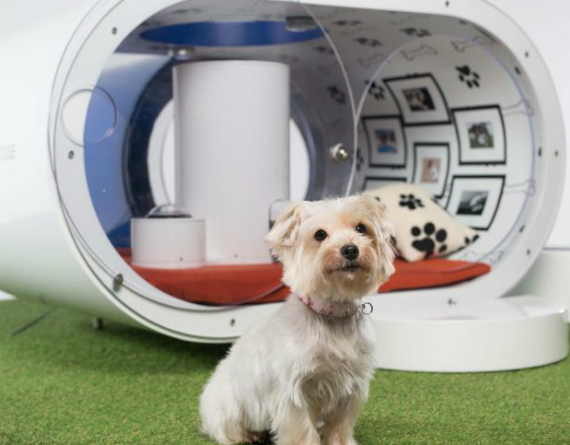 samsung doghouse, Samsung: Υπερπολυτελές σπιτάκι σκύλου αξίας 30000 δολαρίων [video]