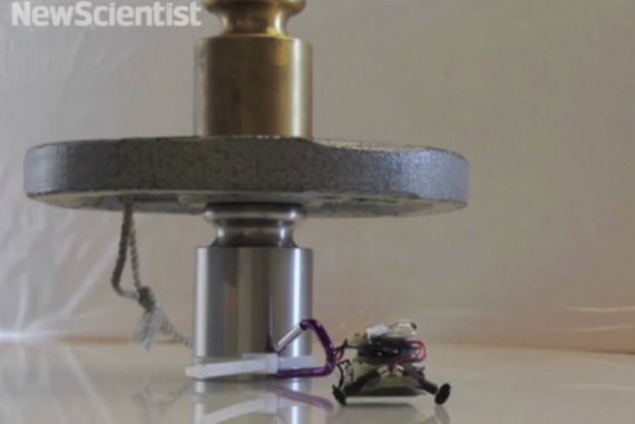 ρομπότ 100 φορές το βάρος του, Μικροσκοπικό ρομπότ σηκώνει 100 φορές το βάρος του [video]
