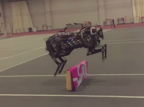 MIT: Αιλουροειδές ρομπότ με τεχνητή νοημοσύνη [video], MIT: Αιλουροειδές ρομπότ με τεχνητή νοημοσύνη [video]