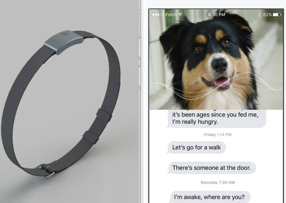 whatsyapp, WhatsYapp: Το high-tech κολάρο που επιτρέπει στο σκύλο σου να σου μιλάει