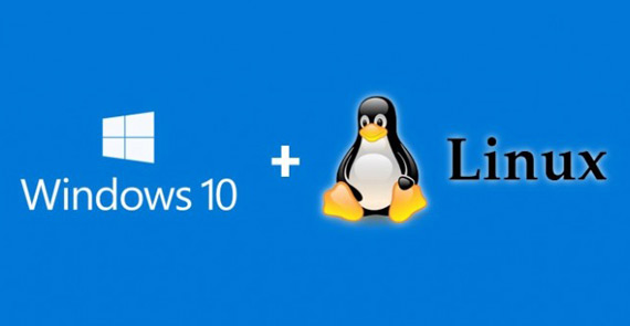 Windows 10 Linux, Windows 10: Μυστήριο Linux sub-system στην τελευταία Insider build