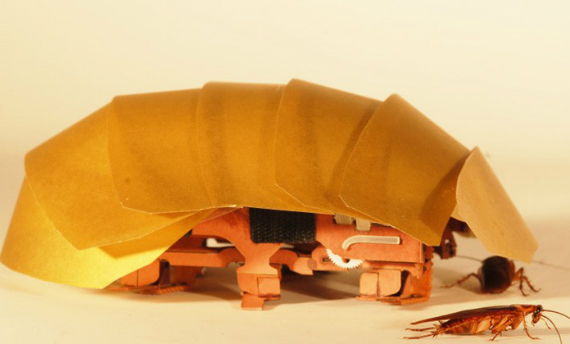 robot cockroach, CRAM: Ρομπότ κατσαρίδα μπορεί να γίνει ο διασώστης του μέλλοντος [video]