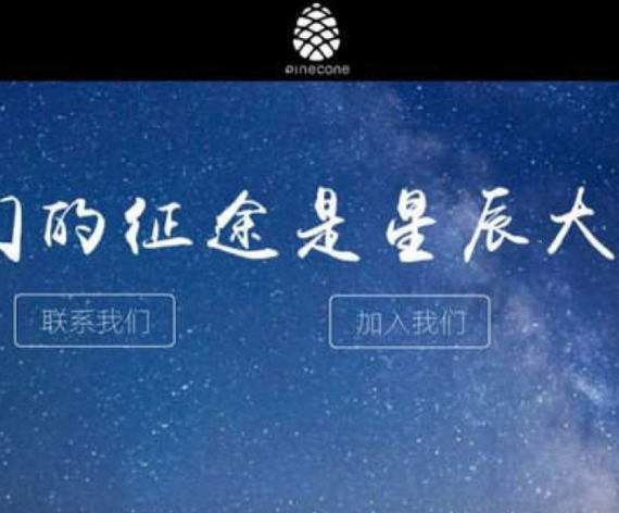 Xiaomi Pinecone chipset, Xiaomi Pinecone: Το chipset απέκτησε δική του επίσημη σελίδα