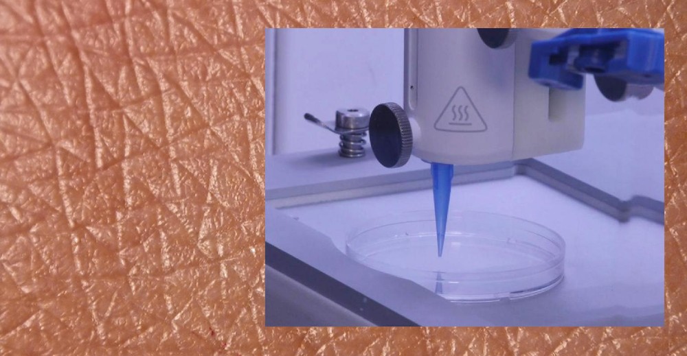 , Ερευνητές δημιούργησαν 3D-printed δέρμα με αιμοφόρα αγγεία