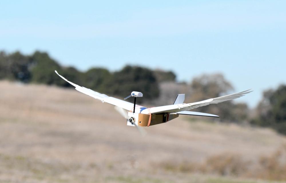 PigeonBot, PigeonBot: Drone με φτερούγες που συμπεριφέρονται σαν πραγματικές [βίντεο]