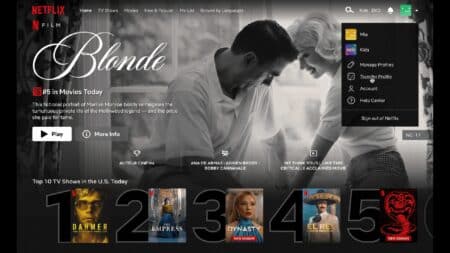 Το Netflix καταπολεμά το password-sharing με τη λειτουργία «Profile Transfer».