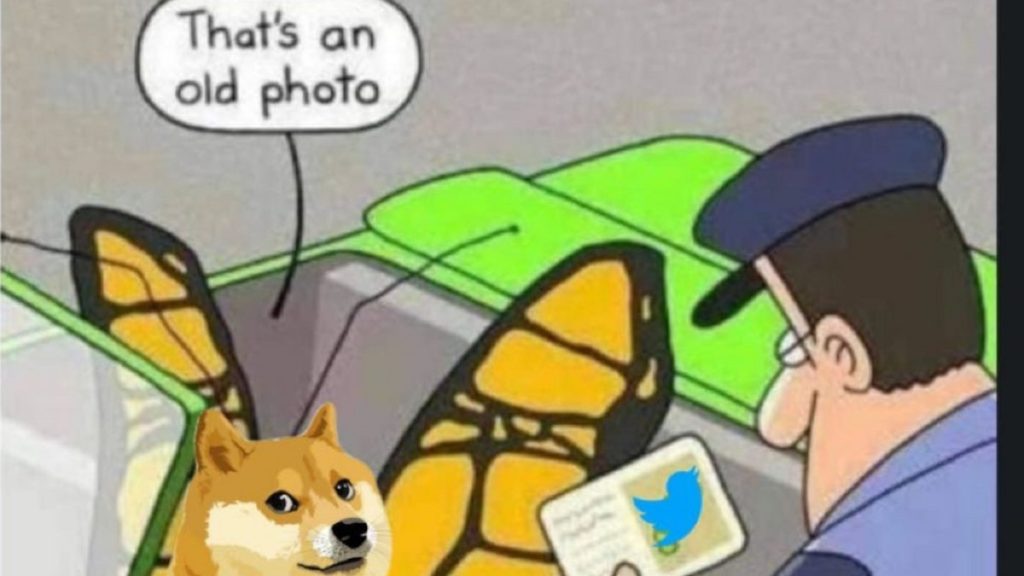twitter, Twitter: Ο Elon Musk αντικατέστησε το μπλε πουλί με τον σκύλο του Dogecoin