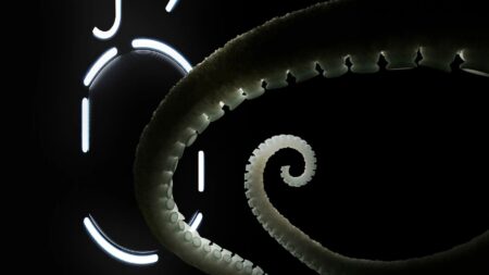 Nothing Phone (2): Teasers δείχνουν το μπροστινό και το πίσω μέρος της συσκευής