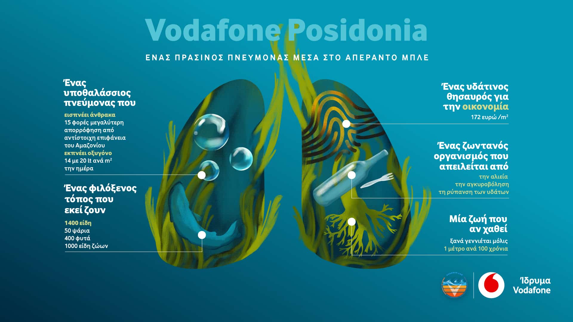 , VODAFONE POSIDONIA: Το Ίδρυμα Vodafone εγκαινιάζει το νέο του περιβαλλοντικό πρόγραμμα για την χαρτογράφηση και προστασία της Ποσειδωνίας στις ελληνικές θάλασσες