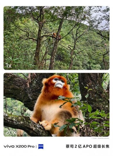 vivo x200, vivo X200: Αναλυτικά τα χαρακτηριστικά της κάμερας της σειράς πριν την κυκλοφορία