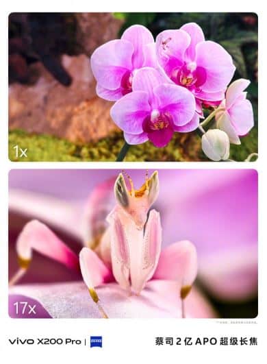 vivo x200, vivo X200: Αναλυτικά τα χαρακτηριστικά της κάμερας της σειράς πριν την κυκλοφορία