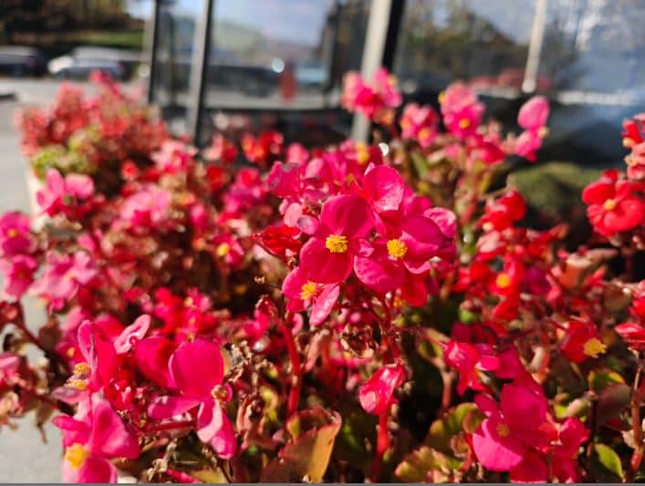 Oppo Find X8 Pro, Oppo Find X8 Pro: Δείτε φωτογραφίες που τραβήχτηκαν από την εντυπωσιακή κάμερα Hasselblad