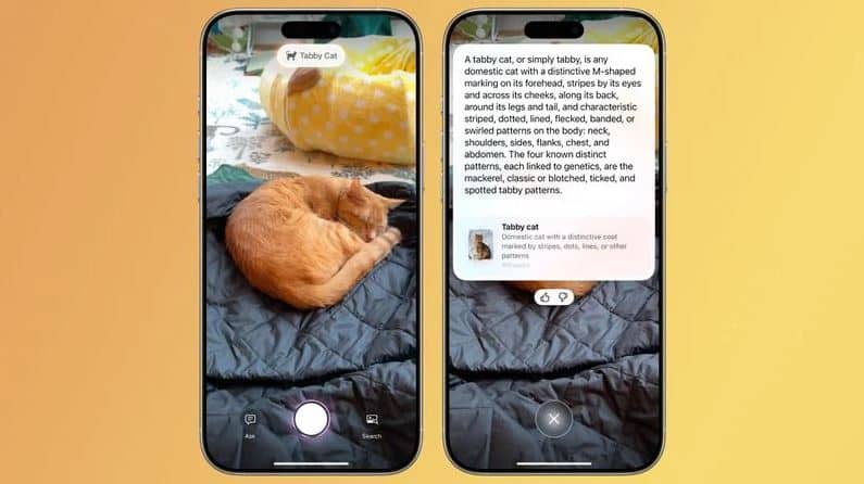 iOS 18.3, iOS 18.3: Όλες οι νέες δυνατότητες