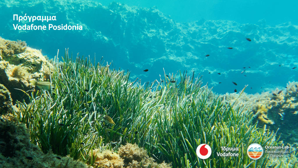 , Το Vodafone Posidonia στη διεθνή Έκθεση MWC 2025