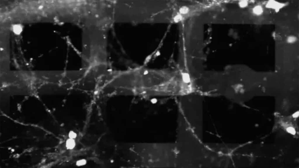 three dimensional neural network device
